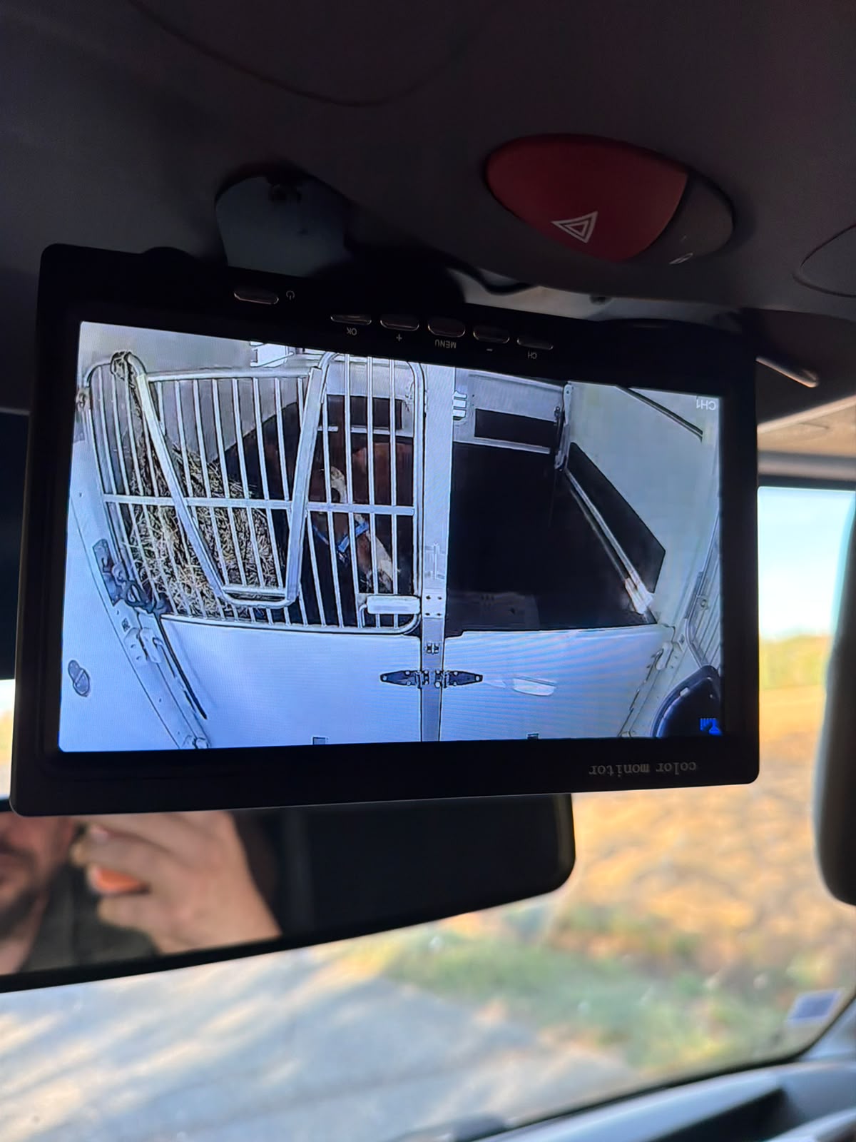 Écran de la caméra embarquée montrant un cheval suivi en direct pendant un transport cheval